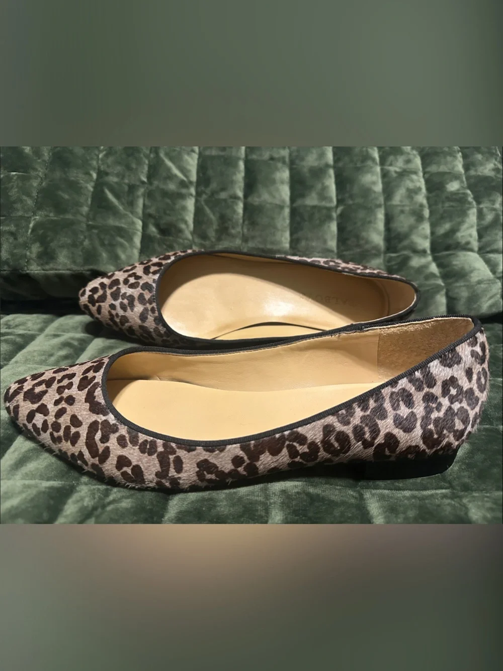 Talbots Leopard Haircalf Pointed Toe Ballet Flats - Brown & Black
